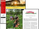NC FarmLink page: people picking strawberries at Flying Cloud Farm; headline "Linking Farmers to Land"