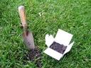 Garden trowel in grass next to an open white box holding a small pile of soil.