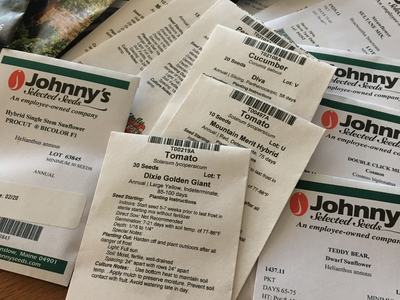 Vegetable Seed Packets