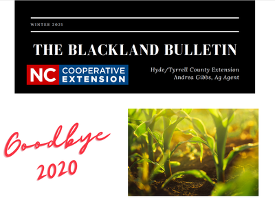 The Blackland Bulletin masthead, NC Cooperative Extension logo, "Goodbye 2020", and corn seedlings