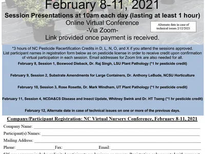 Conference flyer
