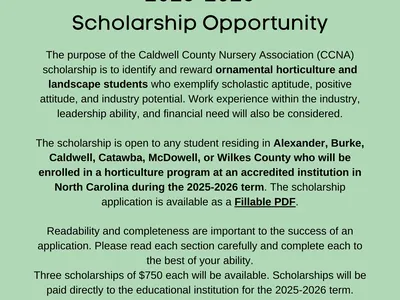 CCNA scholarship flyer with green background and info about the scholarship