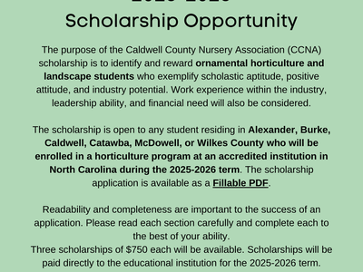CCNA scholarship flyer with green background and info about the scholarship