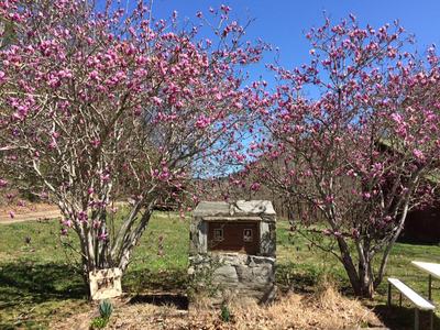 Photo of Monument at Anita-Alta 4-H Camp