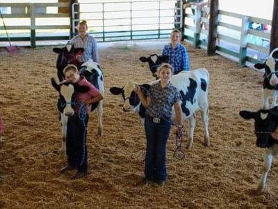 Group steer showing