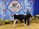 Ivory Eatmon poses with her dairy steer at the WNC Livestock Expo