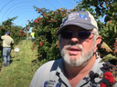 Man wearing cap with blue heart logo and sunglasses among blackberry bushes, worker in background