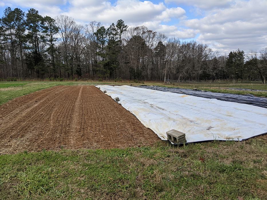 Field at the upper edge of the farm was covered by a silage tarp