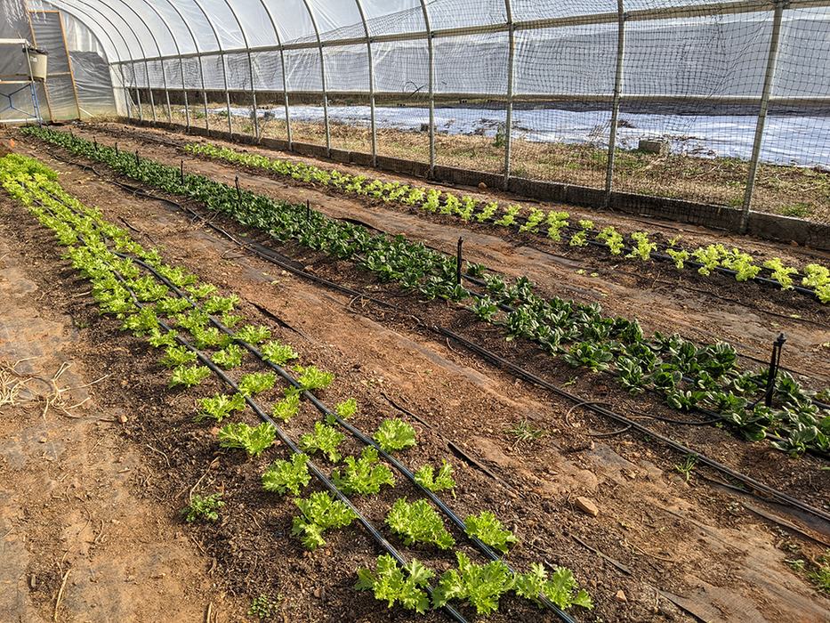 High tunnels