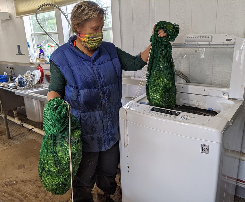 Meredith loads the mesh bags