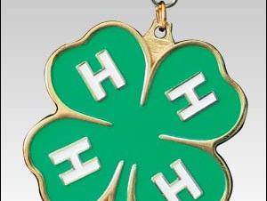 clover medal
