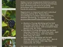 Flyer: Fruit Pruning Workshop—blueberry, blackberry, apple pruning dates and registration info