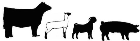 Clipart of livestock
