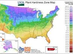 Plant Hardiness Zone map