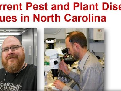 Current Pests and Pathogen