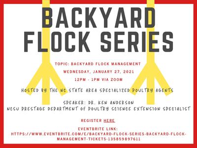 Backyard Flock Series - Flock Management Flyer