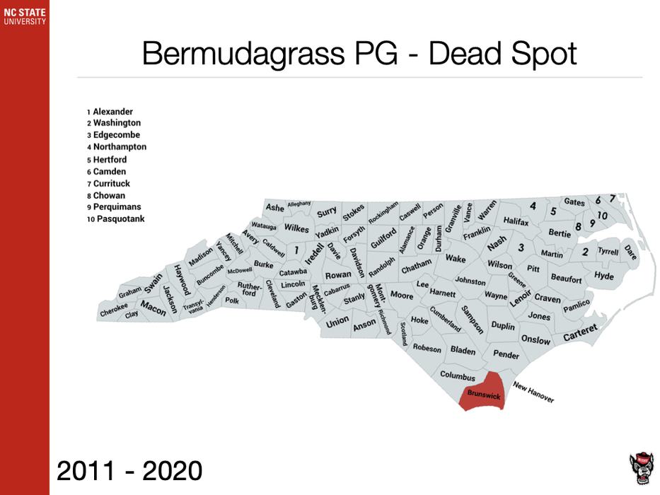 Bermudagrass PG - Dead Spot