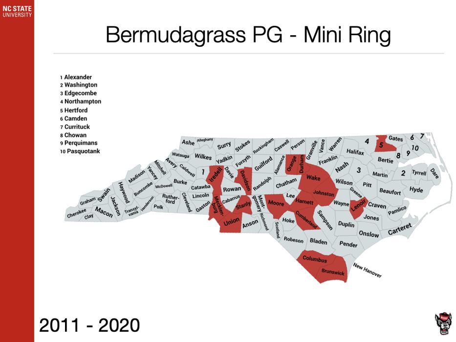 Bermudagrass PG - Mini Ring