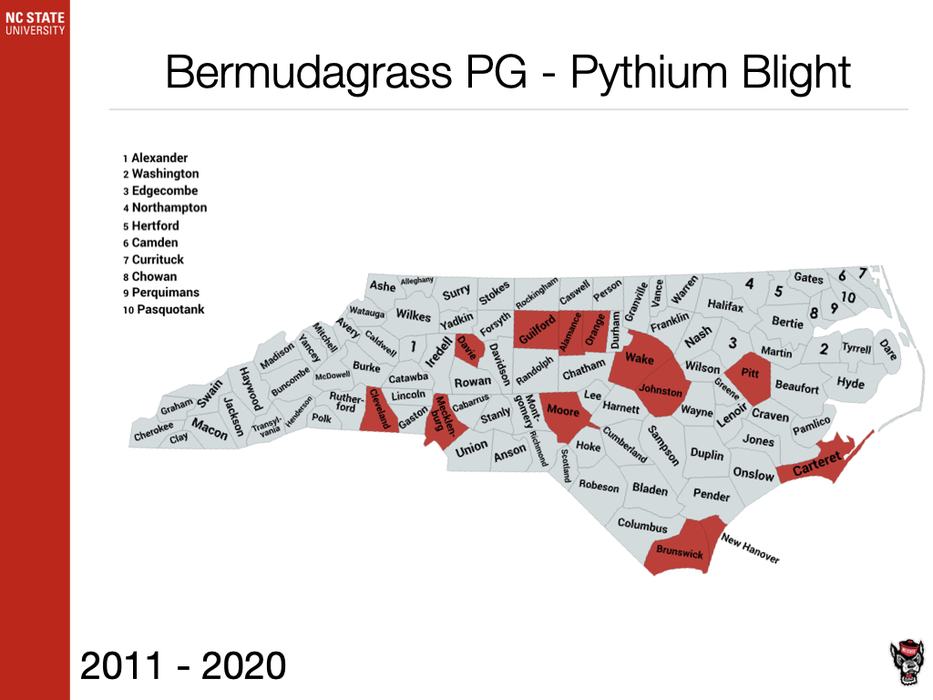 Bermudagrass PG - Pythium Blight