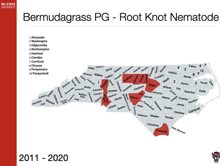 Bermudagrass PG - Root Knot Nematode
