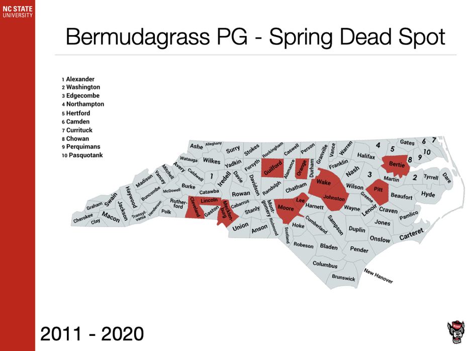 Bermudagrass PG - Spring Dead Spot