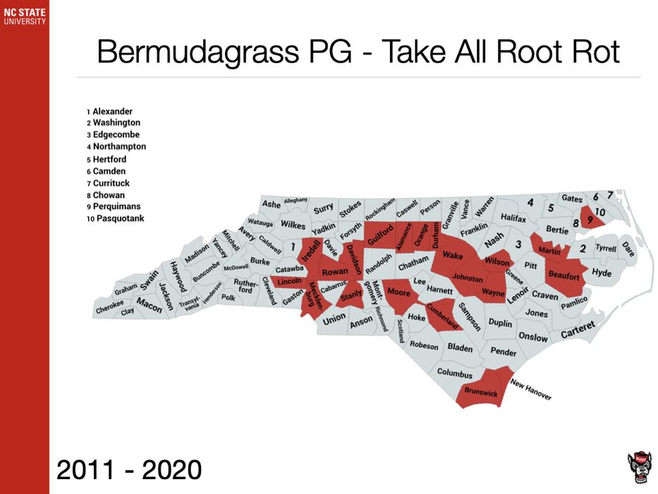 Bermudagrass PG - Take All Root Rot
