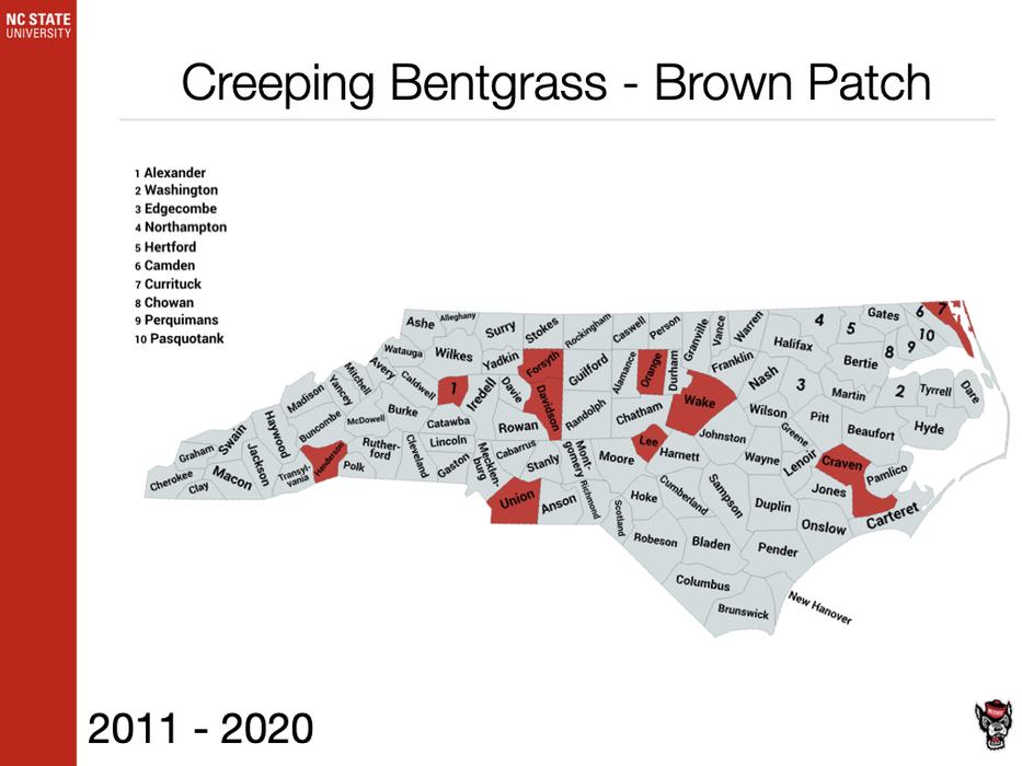 Creeping Bentgrass - Brown Patch