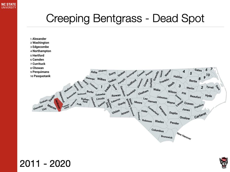 Creeping Bentgrass - Dead Spot