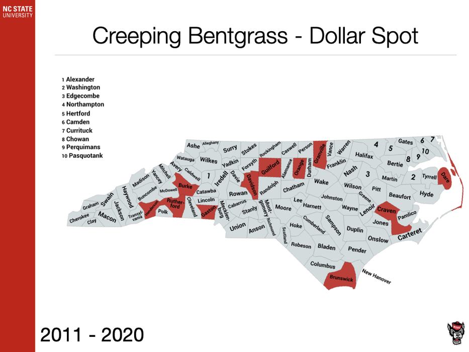 Creeping Bentgrass - Dollar Spot