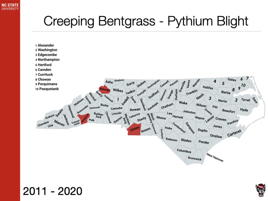 Creeping Bentgrass - Pythium Blight