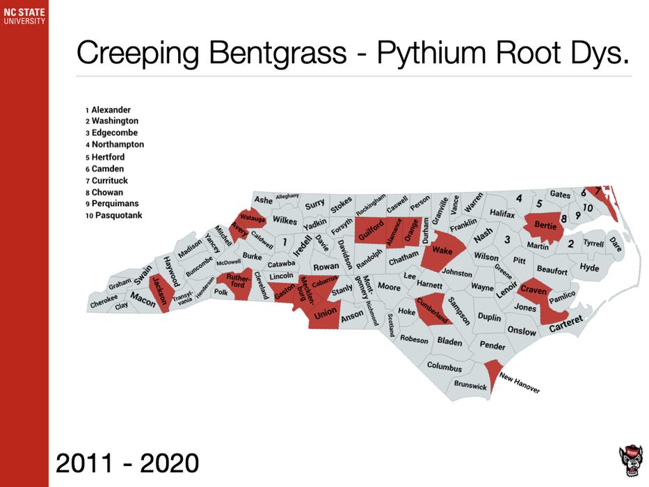 Creeping Bentgrass - Pythium Root Dys