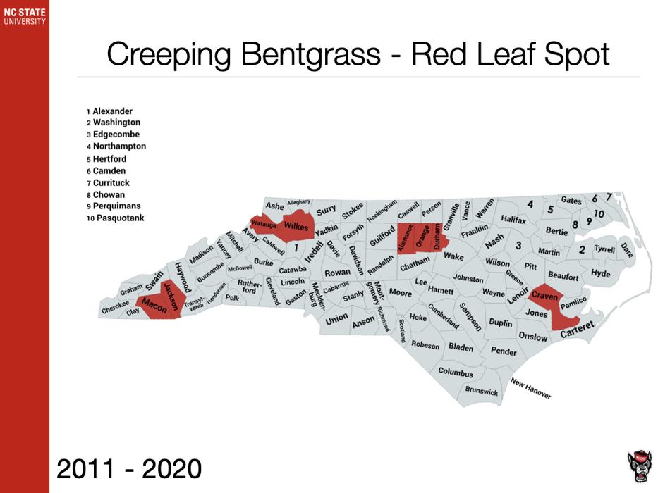 Creeping Bentgrass - Red Leaf Spot
