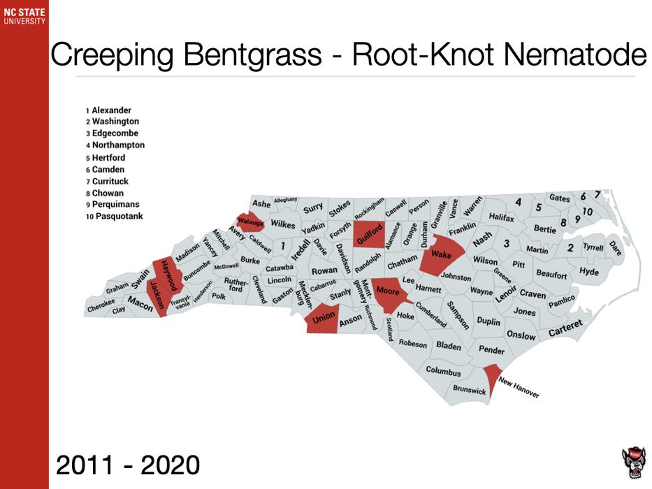 Creeping Bentgrass - Root-Knot Nematode