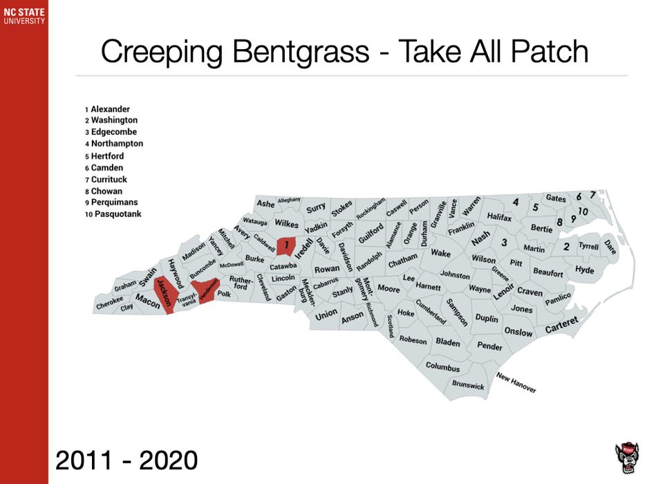 Creeping Bentgrass - Take All Patch