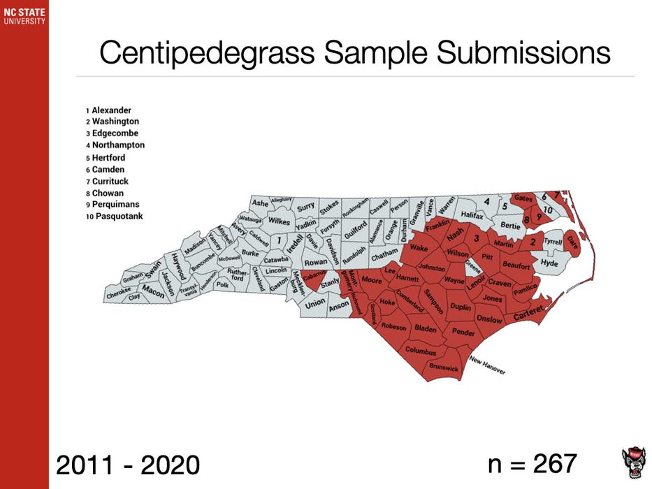 Centipede Sample Submission image