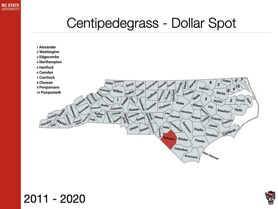Centipede Dollar Spot Sample Submission image