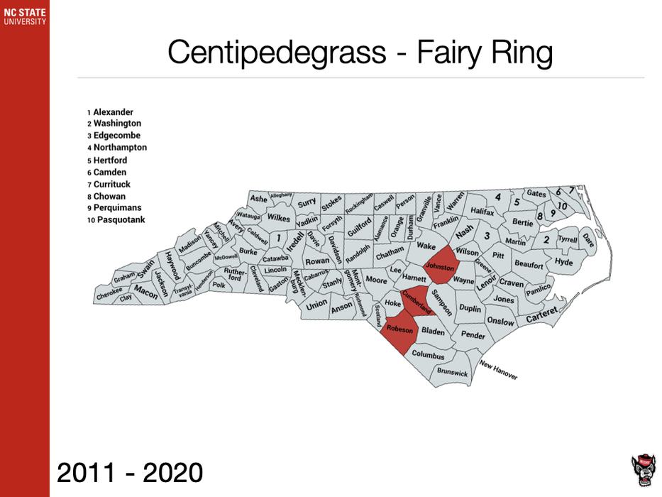 Centipede Fairy Ring Sample Submission image