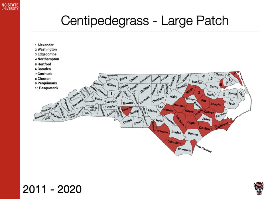 Centipede Large Patch Sample Submission image