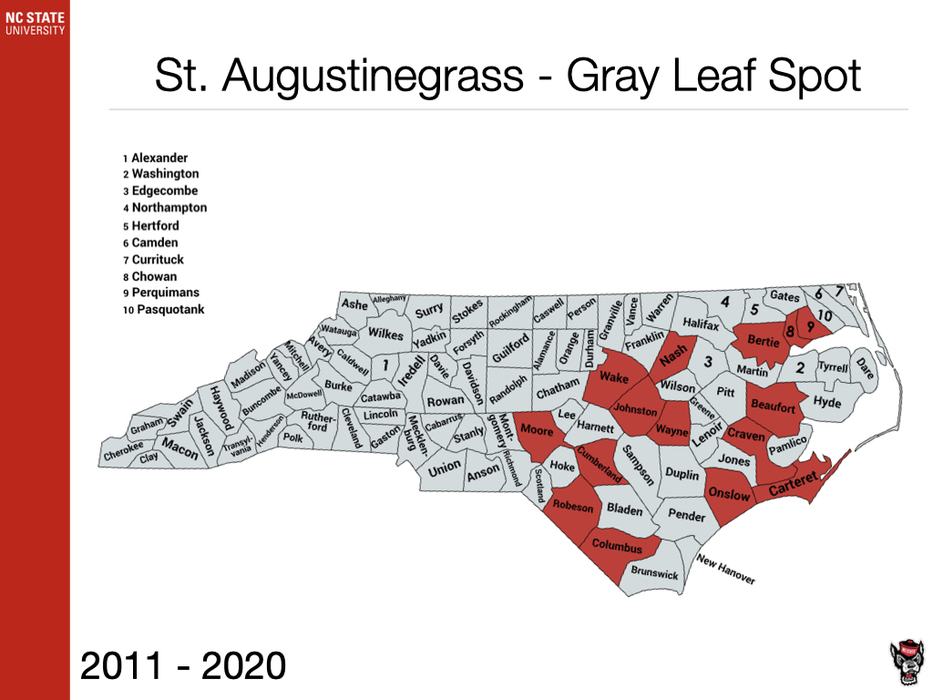 St. Augustinegrass Gray Leaf Spot Sample