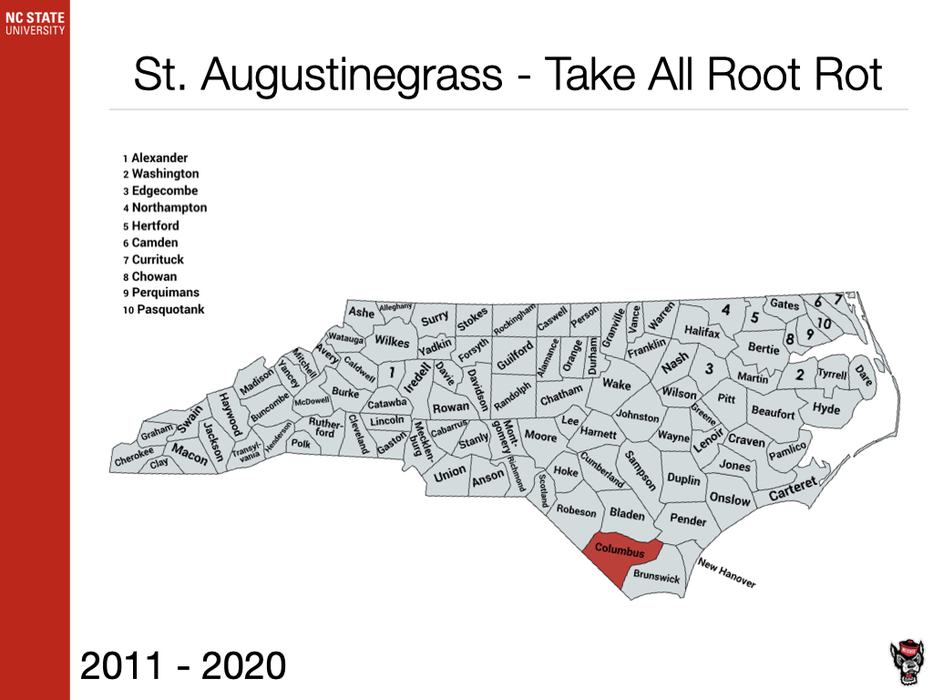 St. Augustinegrass Take All Root Rot Sample
