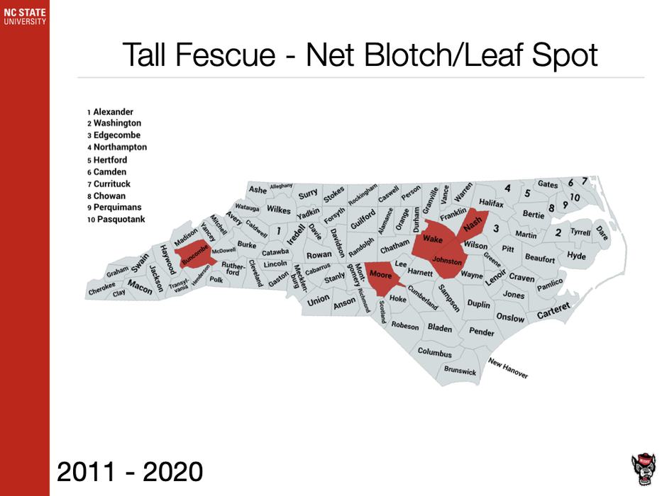 Tall Fescue Leaf Spot Sample
