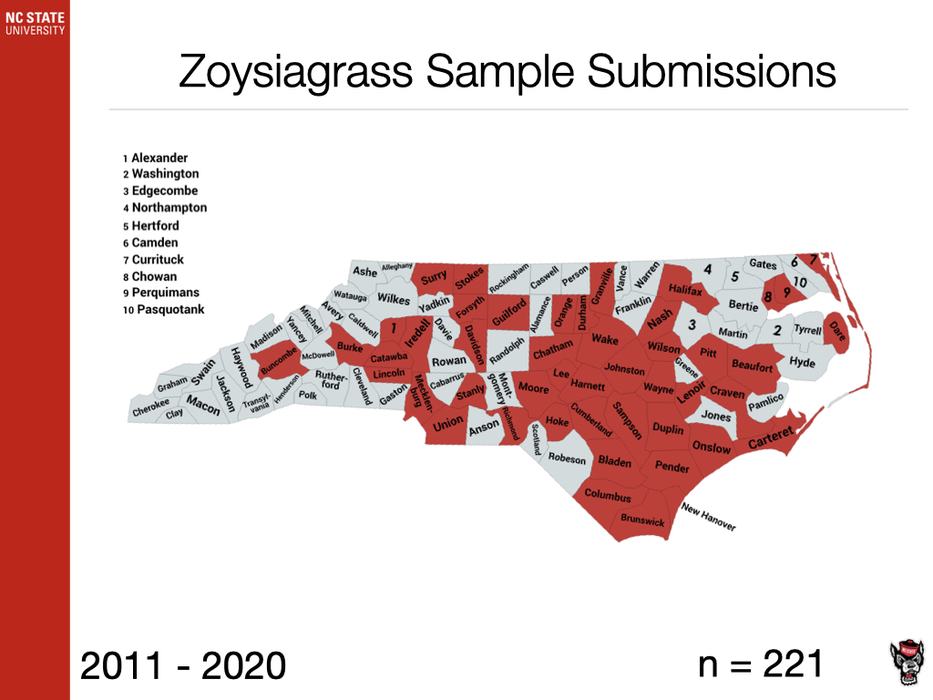Zoysiagrass Sample