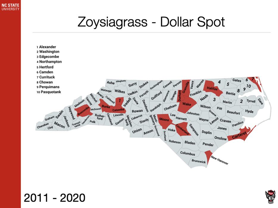 Zoysiagrass Dollar Spot Sample