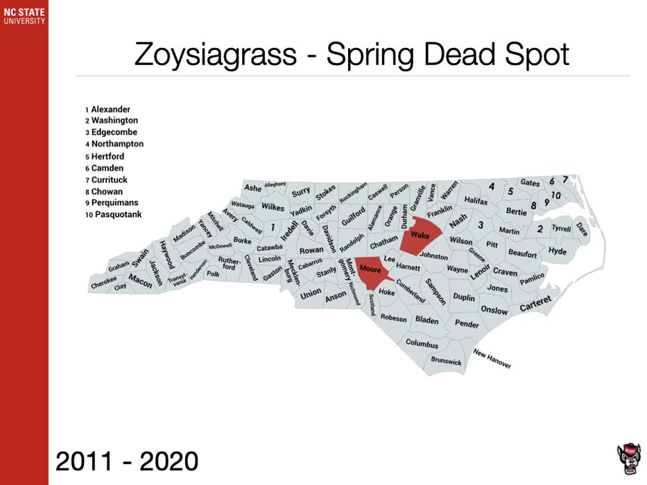 Zoysiagrass Spring Dead Spot Sample
