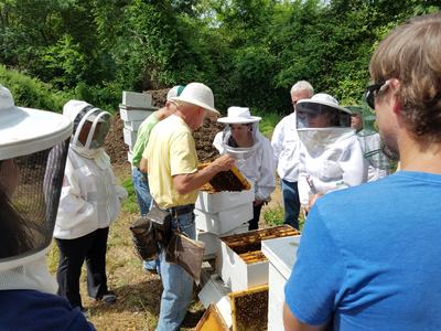 people in beekeeping suits with bee boxes