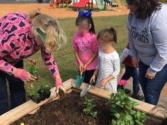 Gardening with students