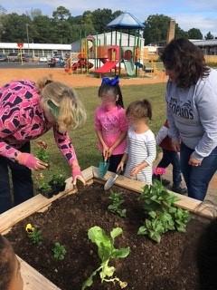 Gardening with students