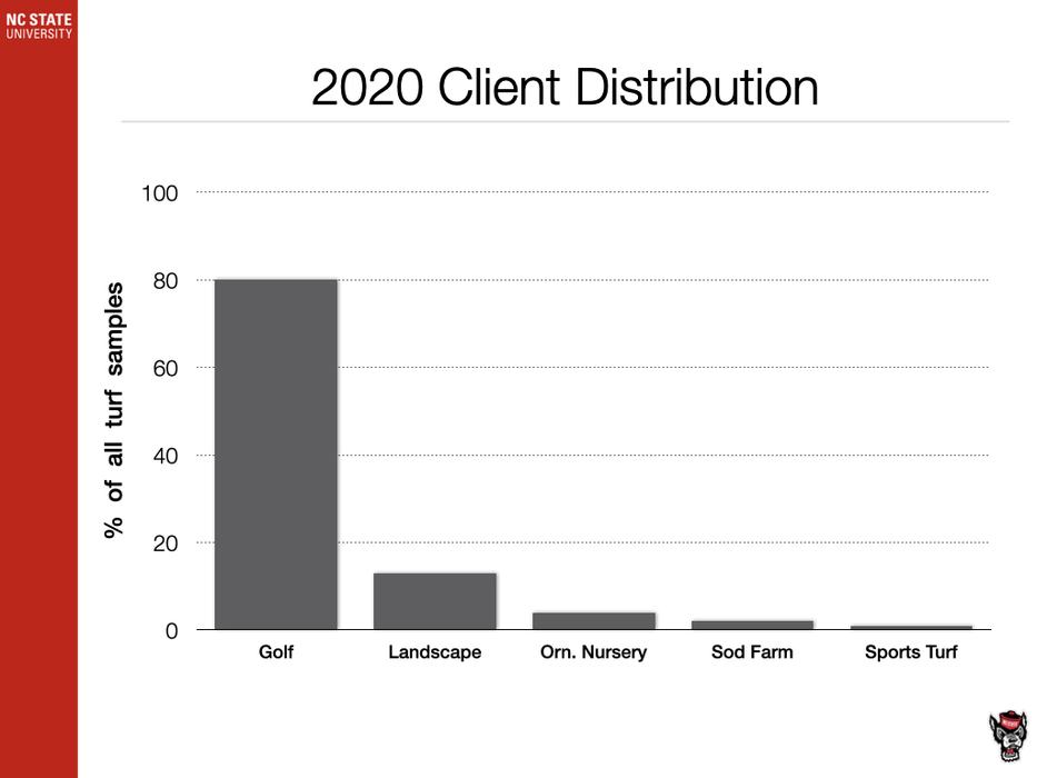 Client Distribution chart image