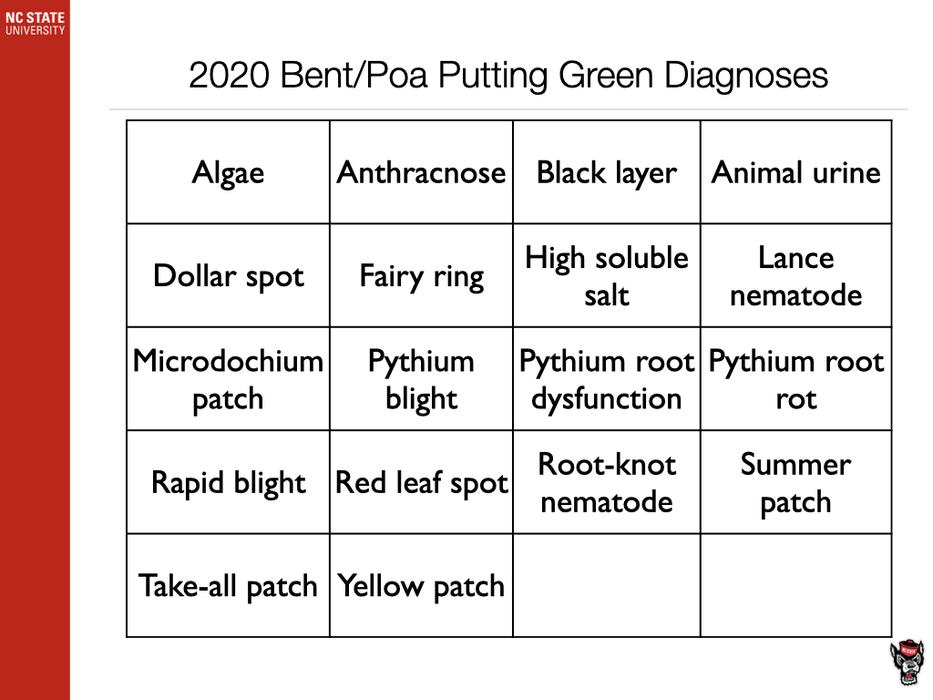 2020 Bent/Poa Diagnosis chart image