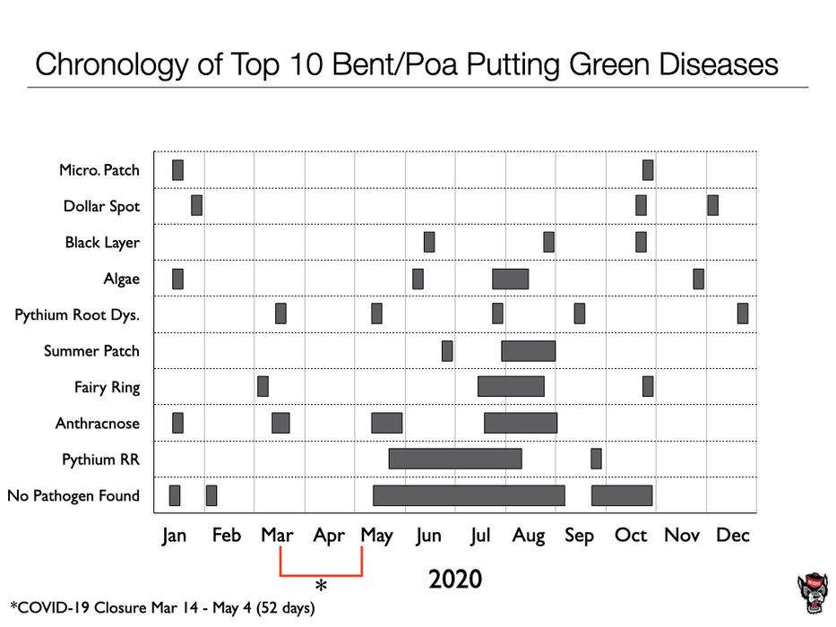 Chronology chart image
